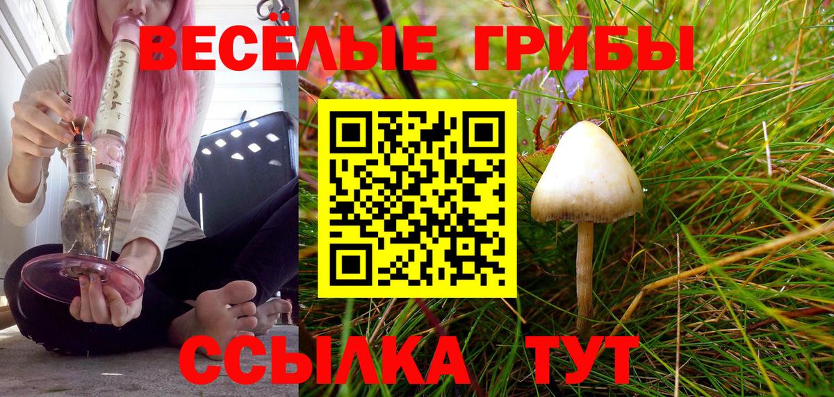 Псилоцибиновые грибы GOLDEN TEACHER  Вход с VPN  Дальнегорск 